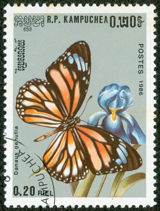 Postage stamp